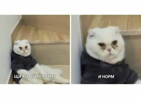 Ща кофейку бахну и норм