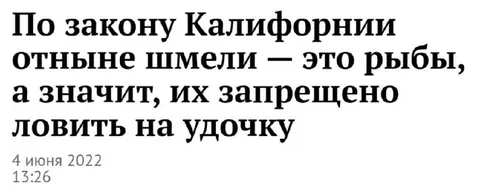 Отныне шмели — это рыбы