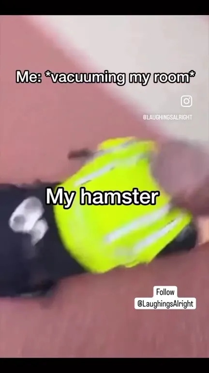 My Hamster Is the Vacuum