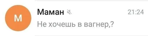 Не хочешь в вагнер?