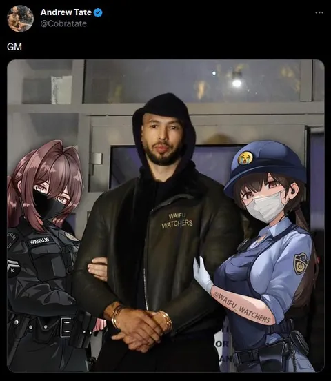 Andrew Tate With Waifu Watchers
