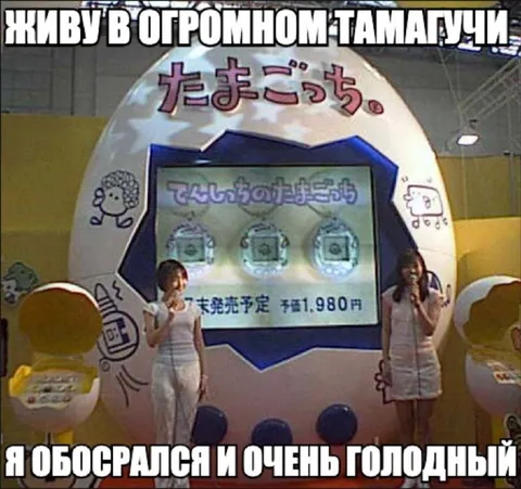 Живу в огромном Тамагочи