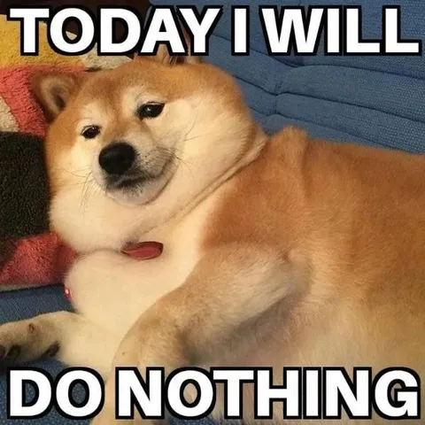 Today I Will Do Nothing