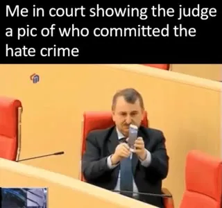 Showing the Judge the Culprit