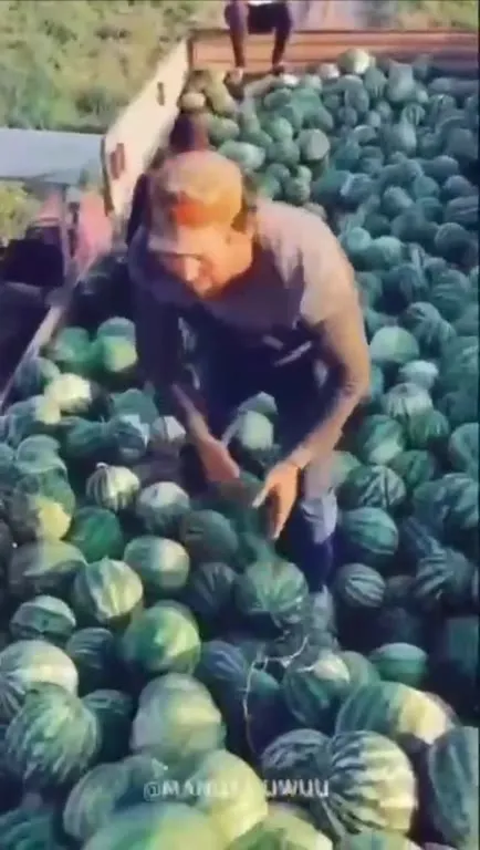 Арбузный лайк под музыку