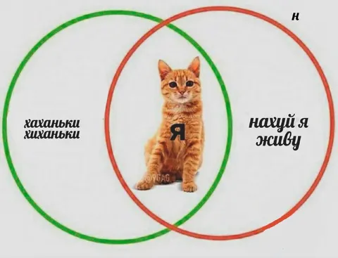 Хаханьки хиханьки и смысл жизни