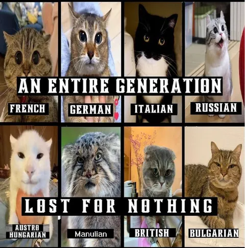 An Entire Generation Lost for Nothing