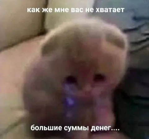 Обезьяна скучает по большим деньгам