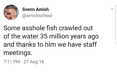 Asshole Fish Caused Staff Meetings