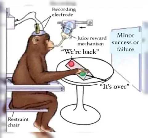 Monkey Juice Reward Experiment