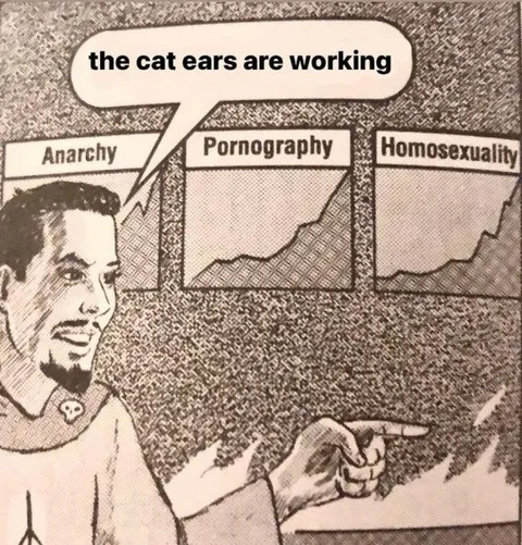 The Cat Ears Are Working