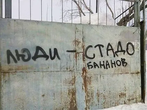 Люди — стадо баранов