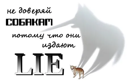 Не доверяй собакам