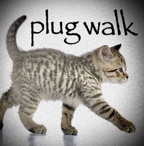 Plug Walk Cat