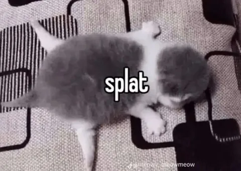 Котёнок говорит splat