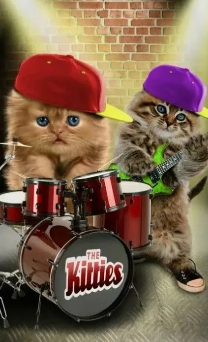 The Kitties Cat Band