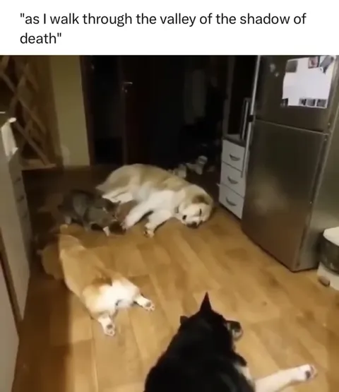 Walking Through the Valley of Death