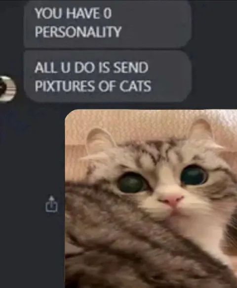 You Have No Personality Cats