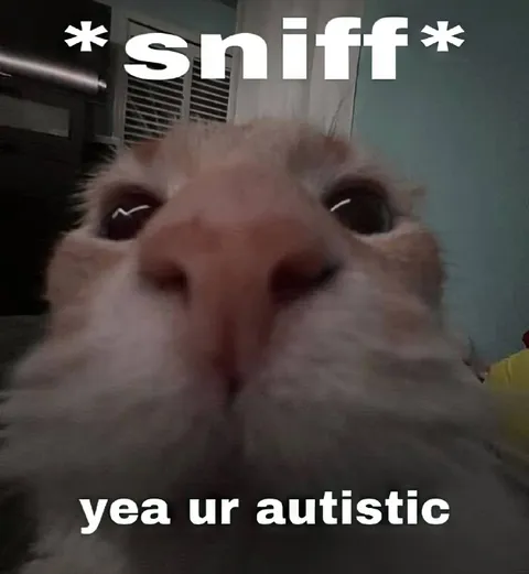 Sniff Your Autistic Cat