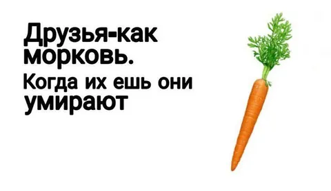 Друзья как морковь
