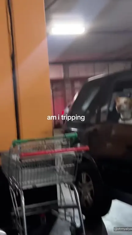 Am I Tripping Over This Car?