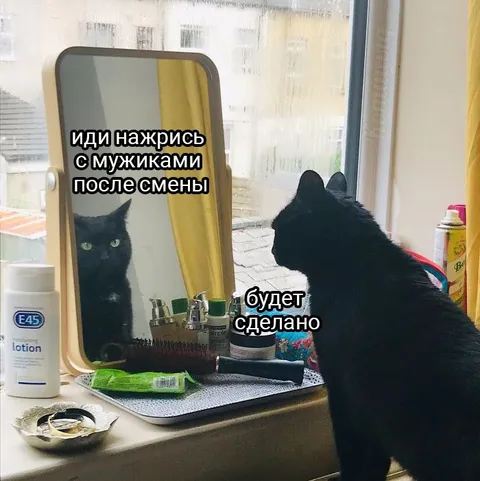 Кот после смены