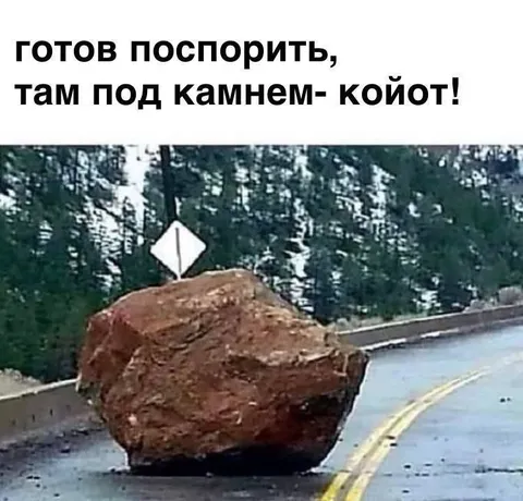 Койот под камнем