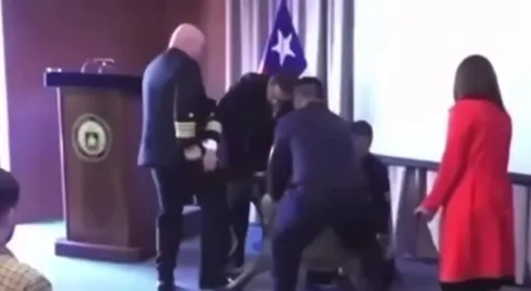 Собака вцепилась в адмирала