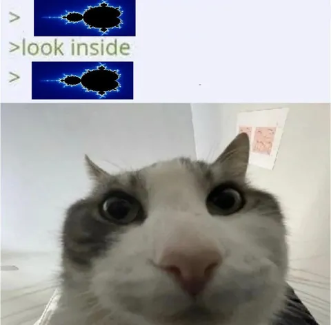 Look Inside Cat Reaction