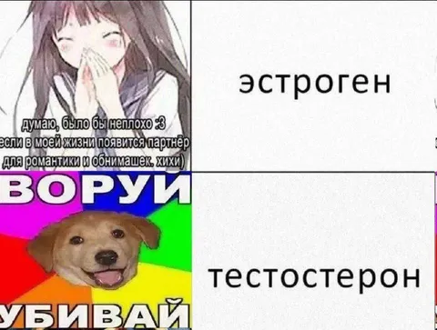 Эстроген против тестостерона