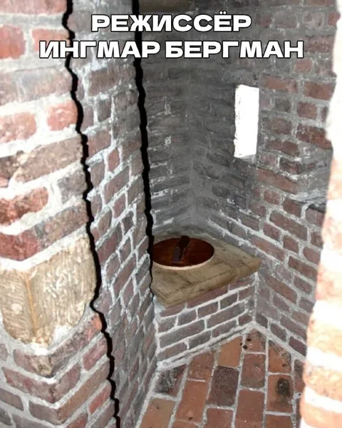 Режиссёр Ингмар Бергман в туалете