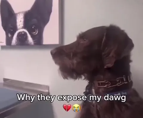 Why They Expose My Dawg
