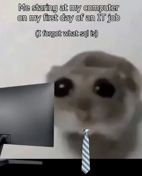 First Day IT Job Panic