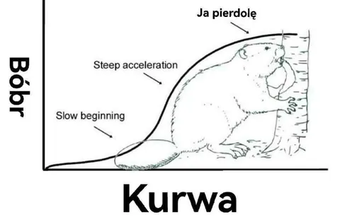 Bóbr Kurwa wykres