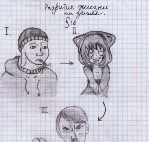Развитие жизни на земле