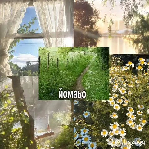 ЙОМАЬО на лесной тропе