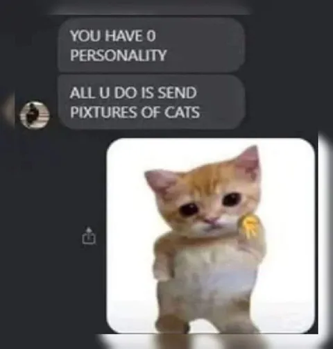 All I Do Is Send Cat Pictures