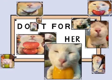 Cats Remember Her