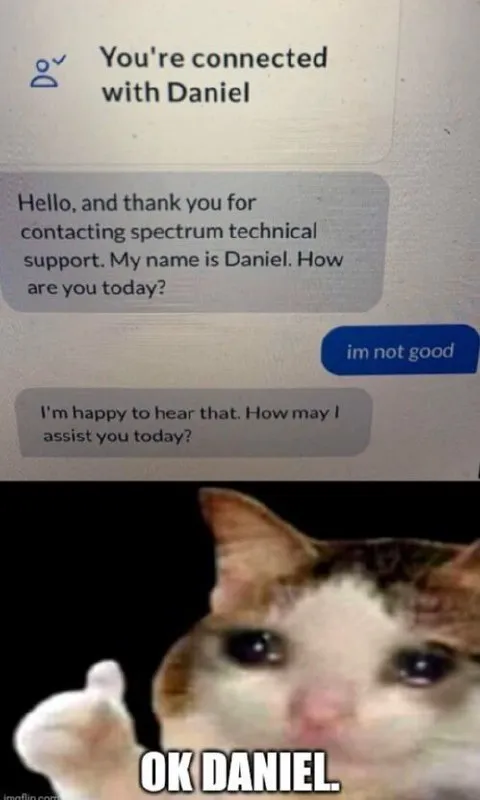 OK Daniel Crying Cat