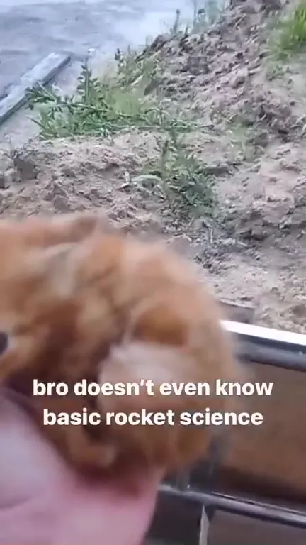 Kitten Fails Basic Rocket Science
