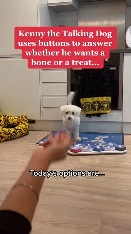 Talking Dog Chooses a Bone