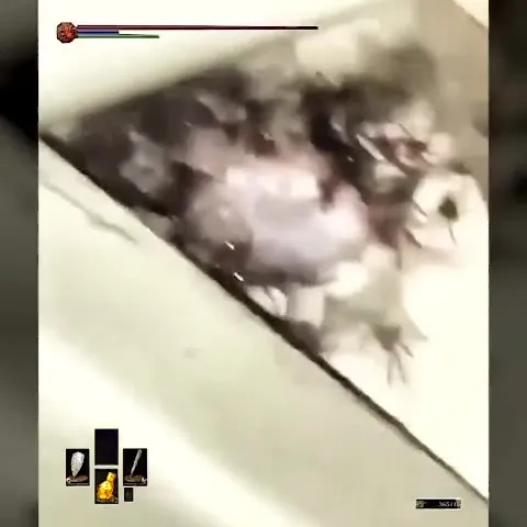 The Giant Enemy Spider Boss Fight