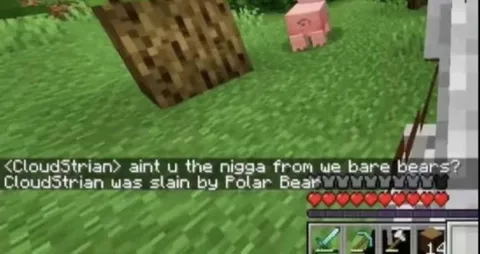 Minecraft We Bare Bears Mixup