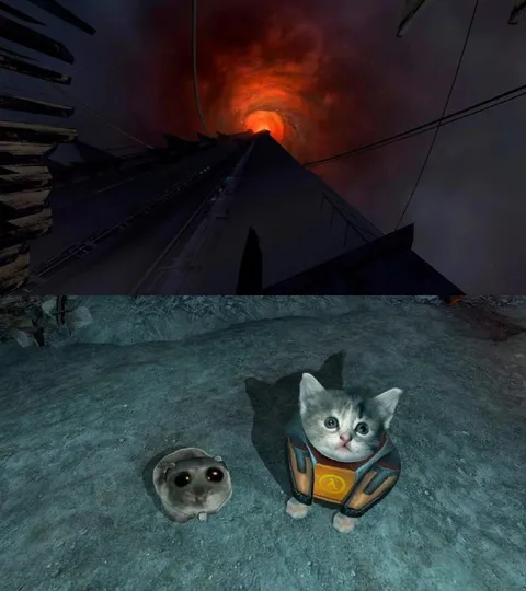 Котёнок перед Цитаделью
