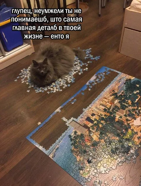 Кот — главная деталь жизни