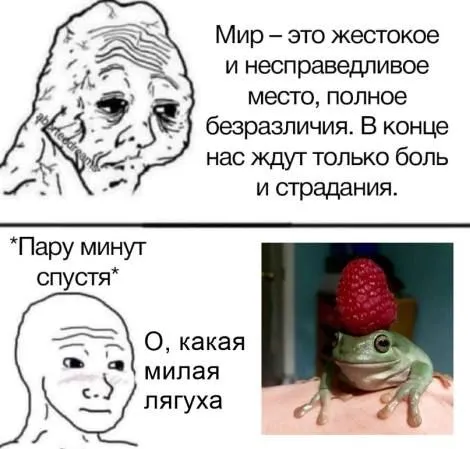 Мир жестокий, но лягушка милая