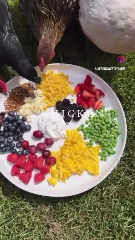 Куриная сырная тарелка