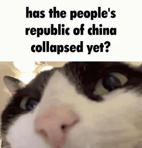 Has China Collapsed Yet Cat