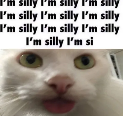 I'm Silly Cat