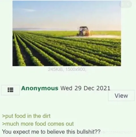 Put Food in the Dirt
